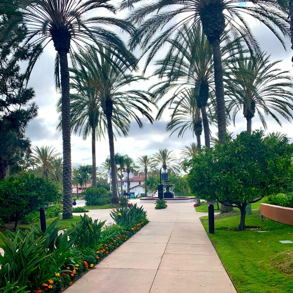 Meet your Posher, Belle - Picture 1 of 1